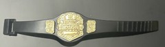 WWE United States Championship Action Figure Title Belt Jakks WCW US