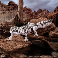 PSL The Diversity of Life on Earth Advance Selected Edition 02 Gecko Bandai