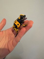 Poison Dart Frog Figure yellow frog Bandai Creature Encyclopedia Repti