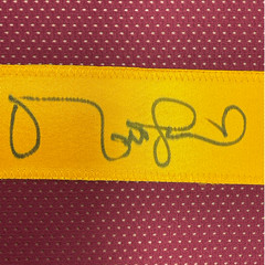 Framed Autographed/Signed Matt Leinart 33×42 USC Southen Cal Red Jersey JSA COA