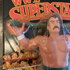 JAKE THE SNAKE ROBERTS LJN WWE WWF Series 3 *Black Card* IN HAND