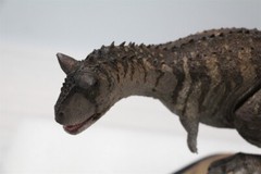 MEMORY MUSEUM 1/15 Carnotaurus Limited Edition Dinosaur Model Figure Toys Gift