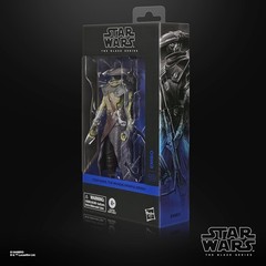 STAR WARS The Black Series The Mandalorian & Grogu 6-Inch Embo Action Figure New