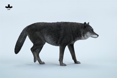 JXK 1/6 Common Gray Wolf Model Collections Animal Figure Decor Toys Xmas Gift