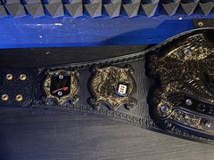 WWE Undisputed Championship Replica Belt V2 With belt Bag