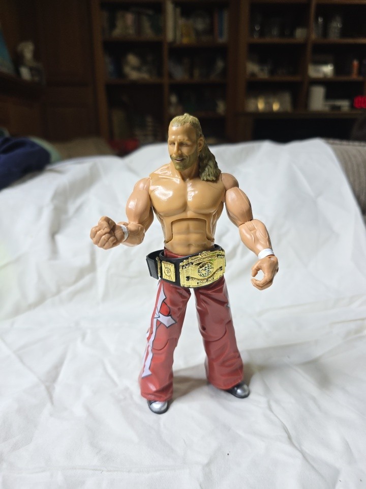 WWE Shawn Michaels Jakks Deluxe Aggression 20 Action Figure