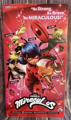 Cat Noir Miraculous Ladybug 11″ Fashion Doll Action Figure Brand New Item