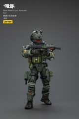 JOYTOY 1:25 action figures Army Steel Ride Corps Assaulter Karl 3in toys