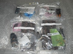 Living Creatures Encyclopedia Advance Stag Beetle 02 (All Online Version) (Elaph