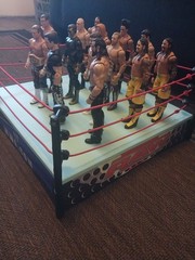 Lot Of 14 WWE Mattel Basic Figures And Jakks Raw/SmackDown Ring
