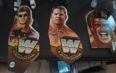 WWE Mattel Legends Series #17 Shamrock w/Chase HBK AJ Styles Ultimate Warrior