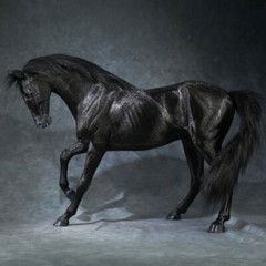 Mr.Z 1/6 Scale Animal Resin Simulation Toy Akhal-Teke Horse Figure 6 Color Model