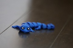 Cute Lizard