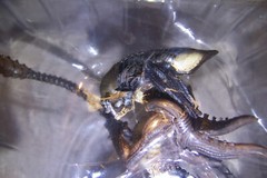 ALIEN VS PREDATOR REQUIEM: PREDALIEN 5.5in DELUXE 1:18 SCALE ACTION FIGURINE NEW