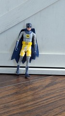 Batman classic TV series ADAM WEST swim trunks dc universe 2013