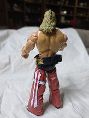 WWE Shawn Michaels Jakks Deluxe Aggression 20 Action Figure