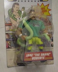 WWE Superstars Series 13 Jake The Snake Roberts Action Figure NEW Mattel 2024