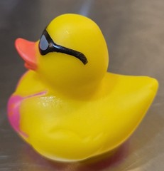 Title:NEW 2″ Bikini Beach Rubber Duck Duckie w/ Sunglasses – Free Shipping!
