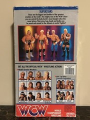 WCW 1990 Galoob 14” Sid Vicious