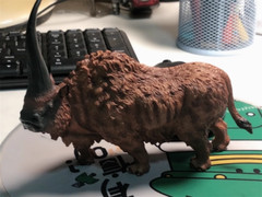 TNG Elasmotherium Sibiricum Model Huge Rhinos Animal Figure Decor Xmas Gift