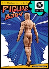 NwToys 1/12 Super Flexible Muscle Body Male Action Figure