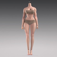 1/6 Female Natural Skin Big Bust Plump Silicone Seamless Body 12″ Action Figure