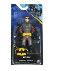 Dc Comics Robin 6 Inch Action Figure Spin Master Ages 3 And Up Collection