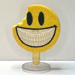 CUSTOM Happy Grin Sunflower *DIAMOND GLITTER CHASE* Ron English Frozen Culture