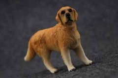 1/6 Scale Pet Dog Golden Retriever Model For 12″ Figure Scene 9.5*6*3.5cm