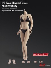 US STOCK 1:6 Flexible Seamless Normal Skin Large Bust Breast Female Figure Body