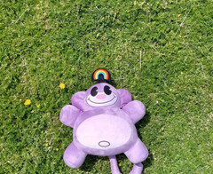 Rainbow Monkeys |Codename Kids Next Door| 13inch Handmade Plush Toys