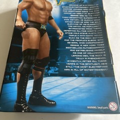 WWE Mattel Elite THE ROCK Wrestling Figure Ringside Collectibles Exclusive
