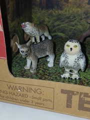 New Terra North American Wild Animals Forest Figures Play Set Toys Box