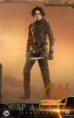 IN STOCK New AUG TOYS DL003 1/6 Paul Atreides Chalamet 12″ Action Figure