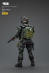 JOYTOY 1:25 action figures Army Steel Ride Corps Assaulter Karl 3in toys