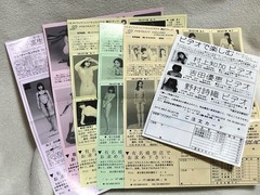 E12 Shiori Nomura 17 years old REDS 1/6 Cutie Angel Collection No.3 Comes with 3