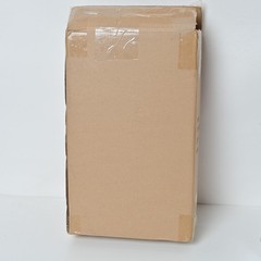 THREEA TOMORROW KING NAGE TKLB2 1/6 SCALE FIGURE