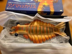 Anomalocaris Figure NHK Life 4 Billion Years Cambrian Prehistoric Model Vintage
