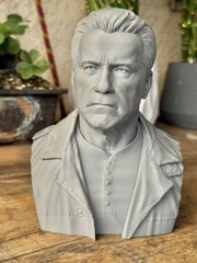 Arnold Schwarzenegger Terminator Bust 6.5” 3D Printed Sci-Fi Collectible Statue