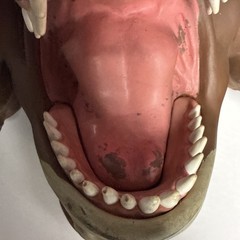 Street Sharks Slammu Hand Puppet VINTAGE 1994 Mattel Street Wise Designs Toy