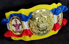 ROCKY WBC TITLE BELT • LIFESIZE REPLICA • ROCKY JAKKS BELT