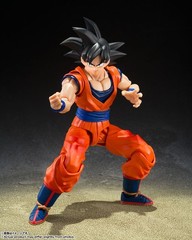 S.H.Figuarts Son Goku Kind hearted Saiyan Figure Dragon Ball Z