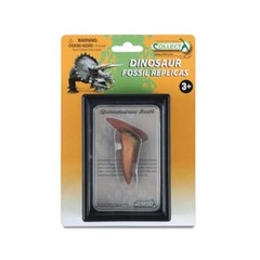 CollectA Collectible Tooth of Spinosaurus Box Set for Ages 3 Years and Up