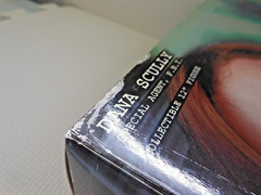 Sideshow Collectibles Action Figure The X Files Dana Scully Special Agent FBI