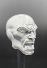 Marvel Legends Custom Silver Surfer Angry Head 1/12 Scale Painted
