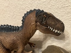Flaw Wear From Use 5 Schleich Figures Used. 4 Dinosaurs 1 Elephant