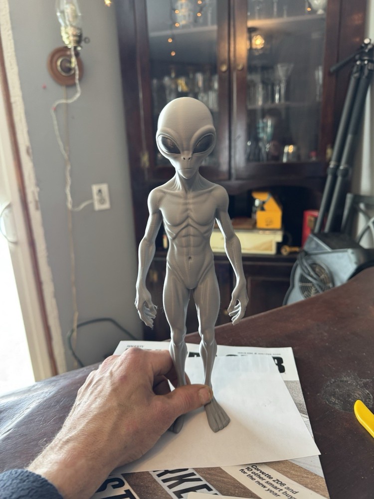Grey Alien Action Figure 12” Tall! New Species!