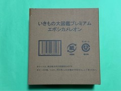 Living Creatures Great Encyclopedia Premium Eyelash Chameleon Figure Gacha