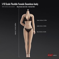 USA ANT 1/6 Super Flexible Seamless Female Normal Mid Breast Action Figure Body