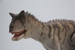 MEMORY MUSEUM 1/15 Carnotaurus Limited Edition Dinosaur Model Figure Toys Gift
